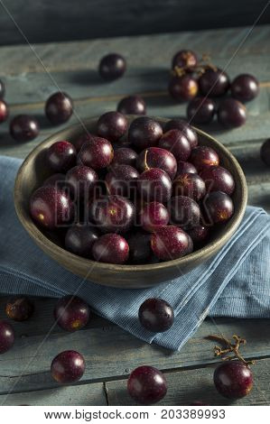 Homemade Sweet Muscadine Grapes
