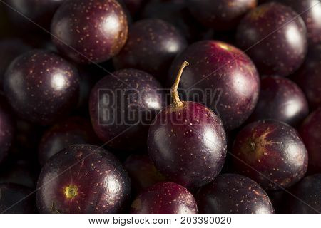 Homemade Sweet Muscadine Grapes