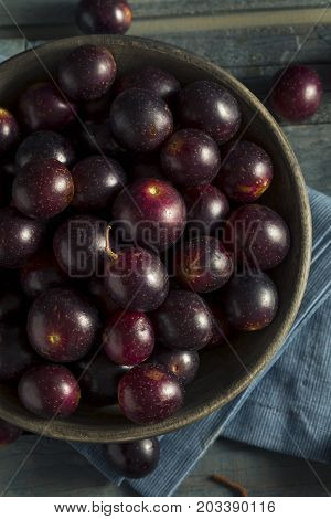 Homemade Sweet Muscadine Grapes