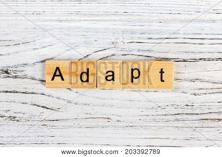 ADAPT Word Written In Wooden Cube concept