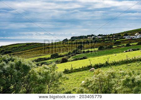 View of Slieve League Cliffs, County Donegal, Ireland