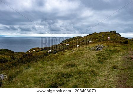 View of Slieve League Cliffs, County Donegal, Ireland