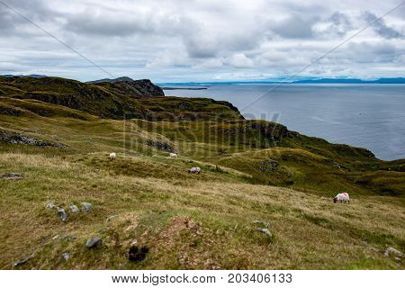 View of Slieve League Cliffs, County Donegal, Ireland