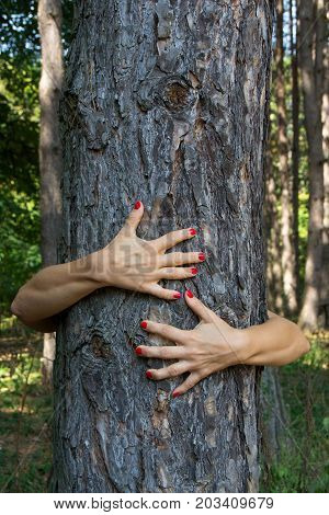 Hands hug a tree with love. Tree huging close up