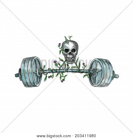 Tattoo style illustration of a skull lifting a heavy weight barbell with vine of Scottish thistle on isolated background.
