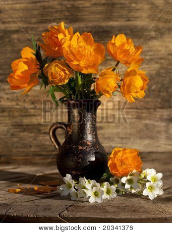 bouquet of flowers Globeflowers Orange