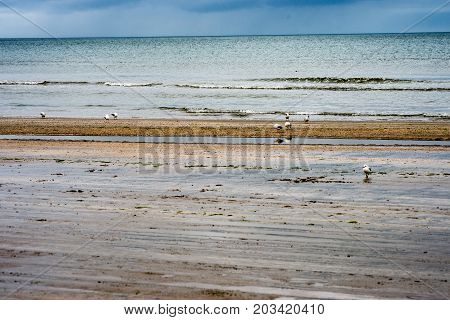 View of Beach on overcast rainy day in Bettystown, Ireland