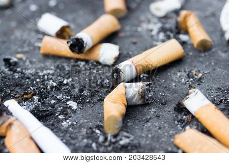 Cigarette butts, ant i- smoking law .