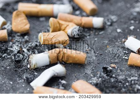 Cigarette butts, ant i- smoking law .