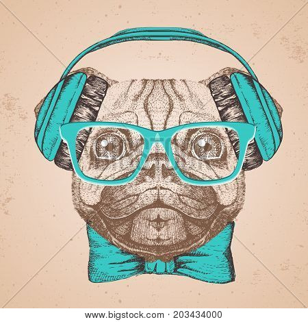 Retro Hipster animal pug-dog. Hand drawing Muzzle of pug-dog