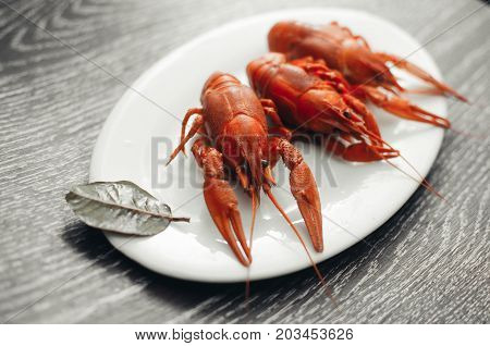 Crayfish On A White Plate On A Dark Background
