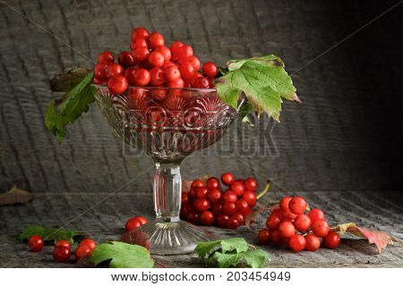 Red Rowanberry In A Vase On A Wooden Background