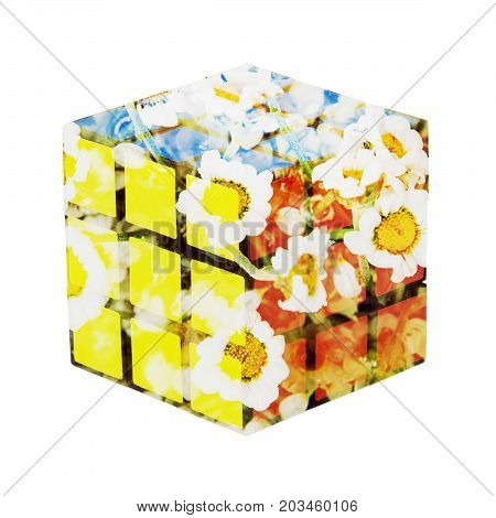 Cube with daisy flowers pattern isolated on the white background. Double exposure effect.