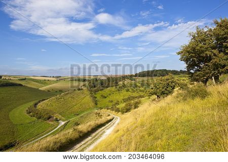 Yorkshire Wolds Valley