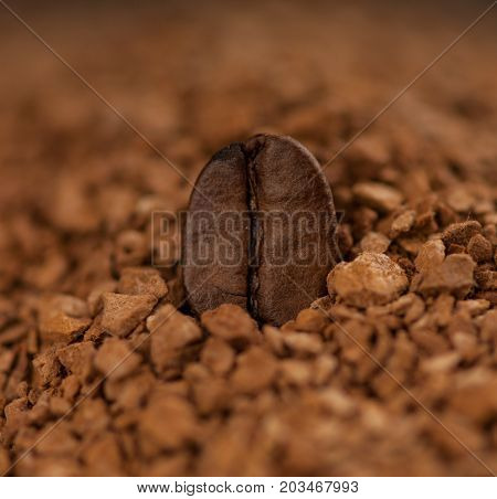 one coffee bean close up in granulated coffee