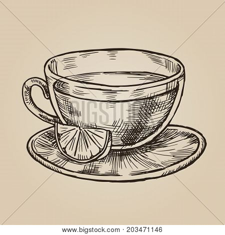 Glass cup with lemon sketch. Transparent dishes for tea and citrus. Vector illustration in style of engraving.