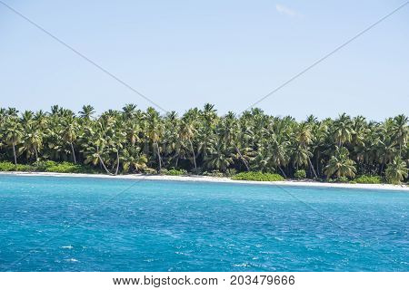 Caribbean sea with turquoise water and palms close to Saona island