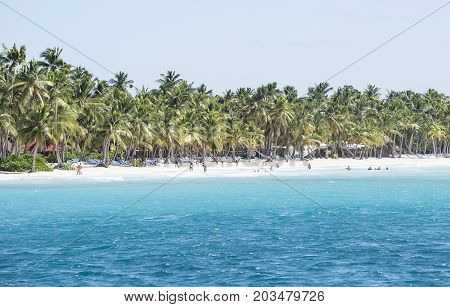 Caribbean sea with turquoise water and palms close to saona island