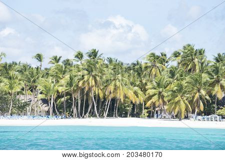 Caribbean sea with turquoise water and palms close to Saona island