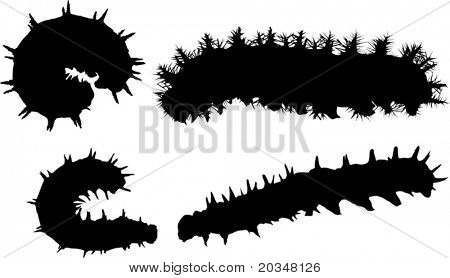 illustration with caterpillar silhouettes collection isolated on white background