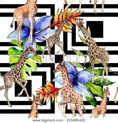 Exotic giraffe wild animal pattern in a watercolor style. Full name of the animal: camelopard. Aquarelle wild animal for background, texture, wrapper pattern or tattoo.