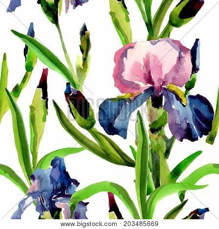 Wildflower iris flower pattern in a watercolor style. Full name of the plant: flower-de-luce. Aquarelle wild flower for background, texture, wrapper pattern, frame or border.