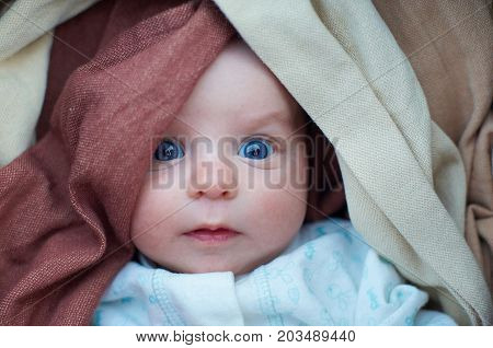portrait of a infant in a sling