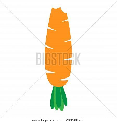 vector illustration bitten carrot on white background