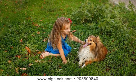 Cute little girl with a dog Sheltie breed. Best friends forever. Dog devotion. A girl and a pet are resting on the lawn in the park