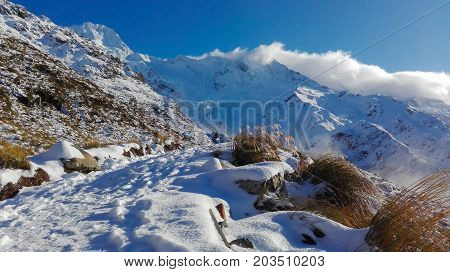 Mueller's Hut Track in New Zealand's Mount cook