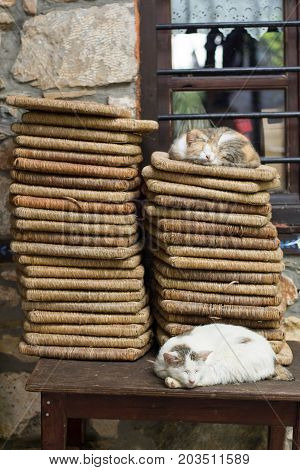 Cats Sleeping On A Table In The Traditional Village Of Platamonas Greece
