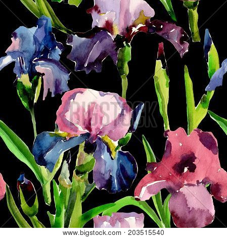Wildflower iris flower pattern in a watercolor style. Full name of the plant: flower-de-luce. Aquarelle wild flower for background, texture, wrapper pattern, frame or border.