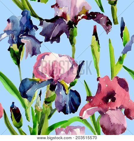 Wildflower iris flower pattern in a watercolor style. Full name of the plant: flower-de-luce. Aquarelle wild flower for background, texture, wrapper pattern, frame or border.