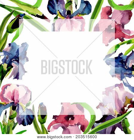 Wildflower iris flower frame in a watercolor style. Full name of the plant: flower-de-luce. Aquarelle wild flower for background, texture, wrapper pattern, frame or border.