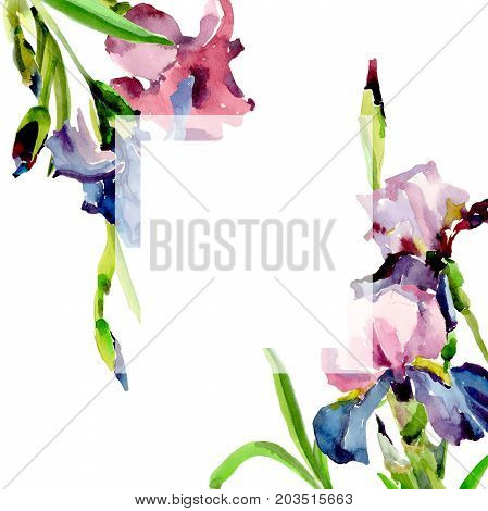 Wildflower iris flower frame in a watercolor style. Full name of the plant: flower-de-luce. Aquarelle wild flower for background, texture, wrapper pattern, frame or border.
