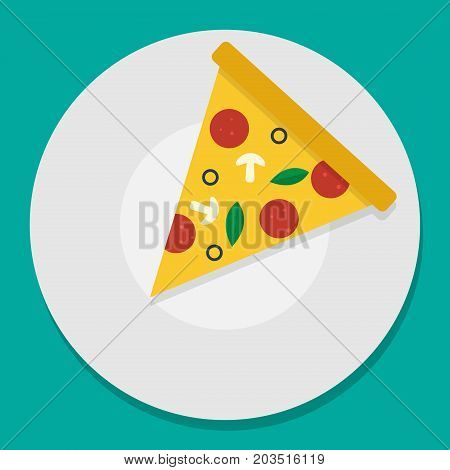 vector illustration pizza on plate. flat design