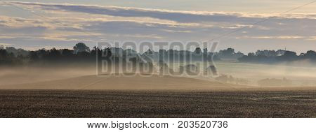 Misty summer morning in Sjaellan Denmark. Rural landscape.