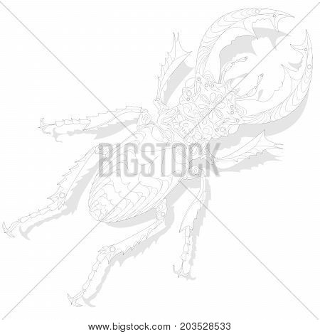Beetle. Hand Drawn Sketch.