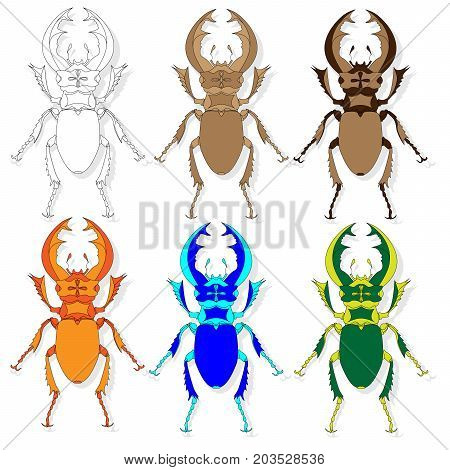 Beetle. Hand Drawn Sketch.