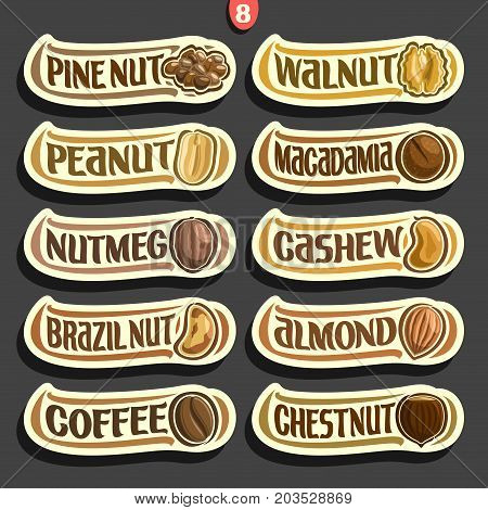 Vector Set of Nuts labels with text: 10 minimal signs of nuts fruit isolated on black background, set of cartoon simple stickers nut in nutshell for packing with original font, tags for snack food.