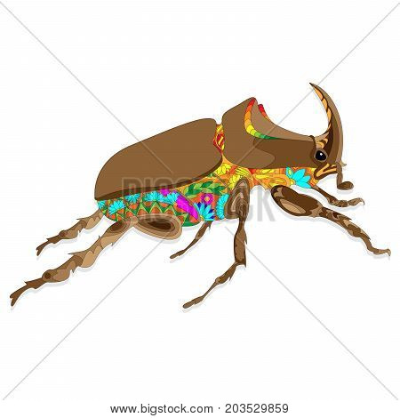 Beetle. Hand Drawn Sketch.