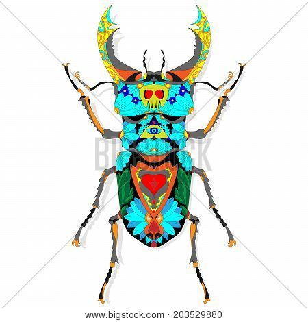 Beetle. Hand Drawn Sketch.
