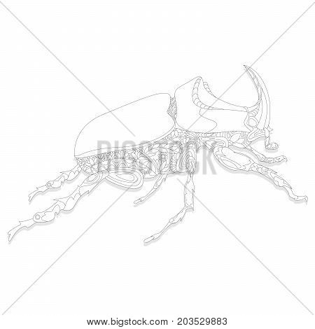 Beetle. Hand Drawn Sketch.