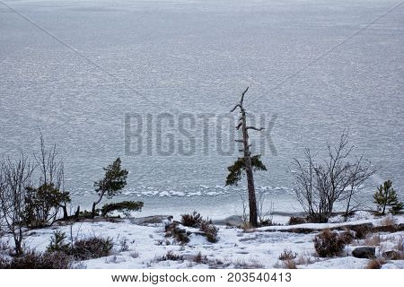 View Of Iced Oslo Fjord In Winter