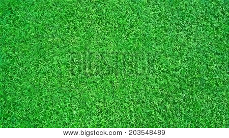 Sport Background. Decorative coating at the stadium in outdoor. Green artificial turf grass field background above football