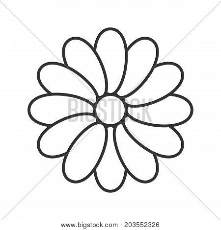 Chamomile head linear icon. Treatment plant thin line illustration. Blooming flower contour symbol. Vector isolated outline drawing