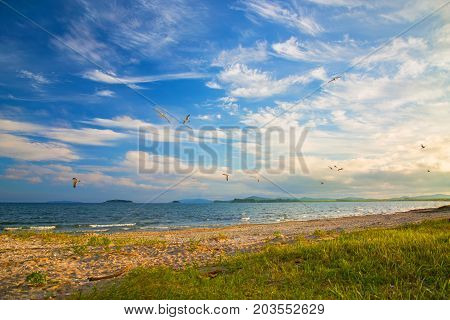 a beach on the sea, sand and waves, seagulls fly over the water. Sunset