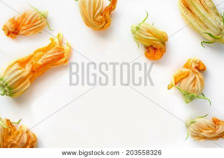 Isolated fresh zucchini flowers background. Vegan nutrient food. Copy space.