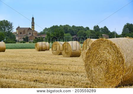 Rural landscape near Fidenza (Parma Emilia-Romagna Italy) at summer. Farm with the town of Parola in background