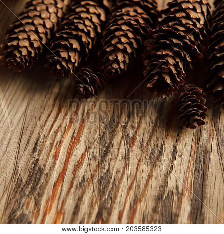 Warm Autumn Background With Copy Space. Group Of Pine Bumps On Textured Wooden Table.